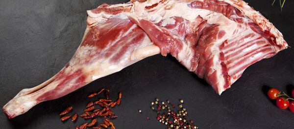 シカの足（アーカイブ） - Sputnik 日本