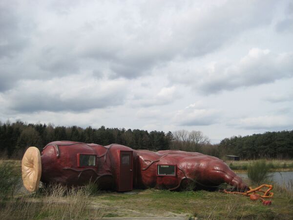 腸ホテル 腸ホテル - Sputnik 日本