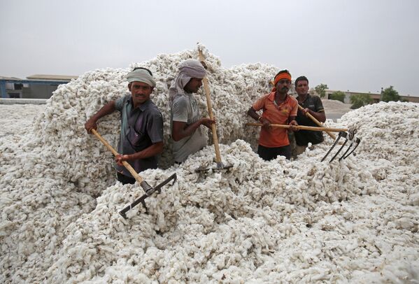 インドの町、カディーで、トラックから木綿を降ろす労働者たち - Sputnik 日本