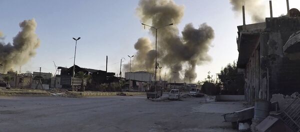 ドゥーマ【アーカイブ写真】 - Sputnik 日本