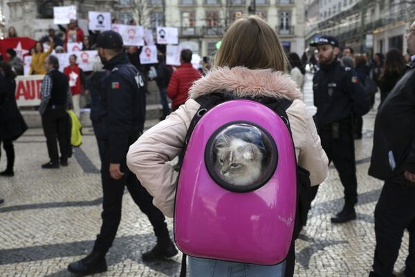 ネコの入ったリュックサックを背負い、ブラジルのルイス・イナシオ・ルーラ・ダ・シルヴァ元大統領を支持するデモを眺める少女。リスボン - Sputnik 日本