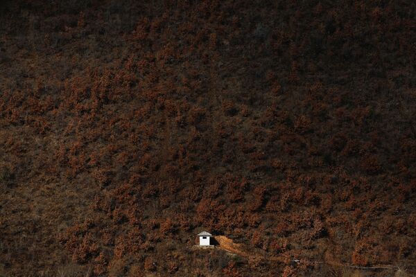 国境の中国側から撮影された北朝鮮の警備塔 - Sputnik 日本