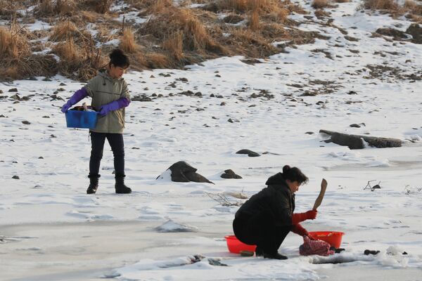 国境の中国側から、凍った鴨緑江で撮影された北朝鮮の人々 - Sputnik 日本