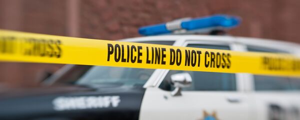 米警察 米警察 - Sputnik 日本