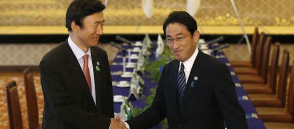 韓国外相4年ぶり訪日、でも「足かせ」をはめられている 韓国外相4年ぶり訪日、でも「足かせ」をはめられている - Sputnik 日本