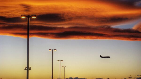 アメリカ、空港 - Sputnik 日本