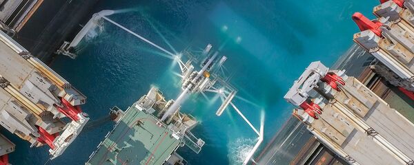 プーチン大統領とエルドアン大統領　「トルコストリーム」開通式出席 - Sputnik 日本