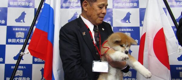 ザギトワの犬 - Sputnik 日本