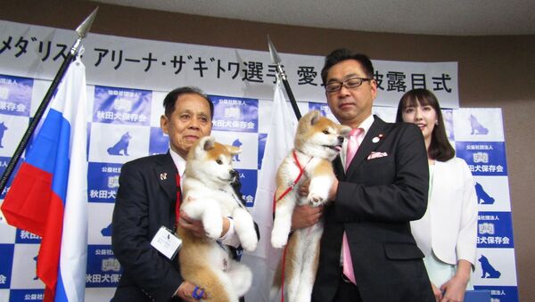 ザギトワの犬 - Sputnik 日本