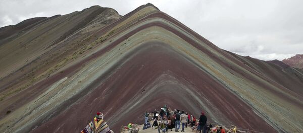 アンデス山脈でコカイン433キロを押収 - Sputnik 日本