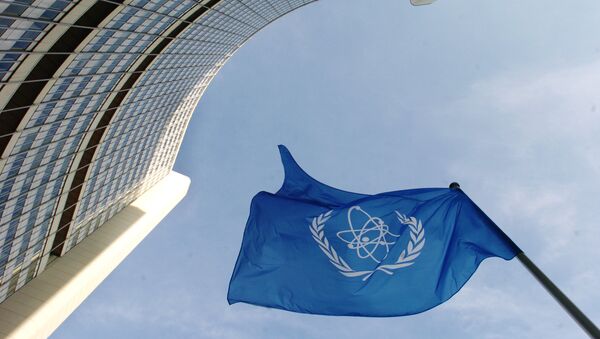 IAEA - Sputnik 日本