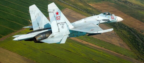 露SU-27戦闘機 露SU-27戦闘機 - Sputnik 日本