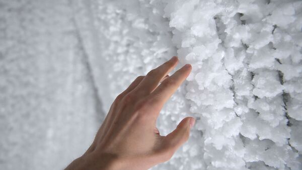 オンタリオ湖の暴風で家が「氷の小屋」 - Sputnik 日本