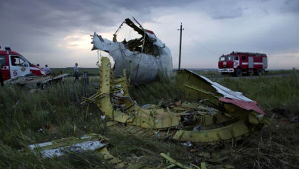 オランダ　MH17便墜落事故の責任者を裁判にかけるため国際法廷へ - Sputnik 日本
