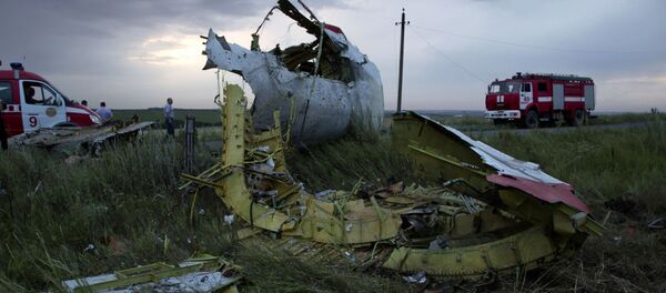 マレーシアは先に昨年7月ウクライナにおけるMH17機墜落事故に関する国際法廷の開設を求める決議案を提出していた。 マレーシアは先に昨年7月ウクライナにおけるMH17機墜落事故に関する国際法廷の開設を求める決議案を提出していた。 - Sputnik 日本