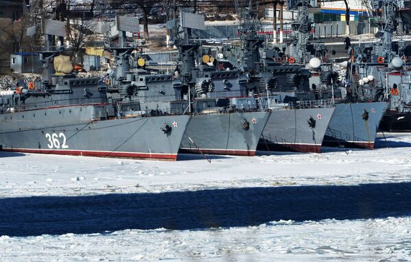 太平洋艦隊の「アリバトロス」。ウラジオストクで - Sputnik 日本
