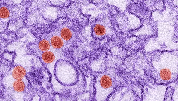Virus Zika