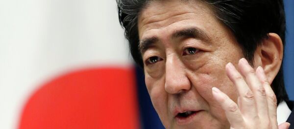 日本会議が首相に「遺憾の意」 新元号の事前公表へ不満 日本会議が首相に「遺憾の意」 新元号の事前公表へ不満 - Sputnik 日本