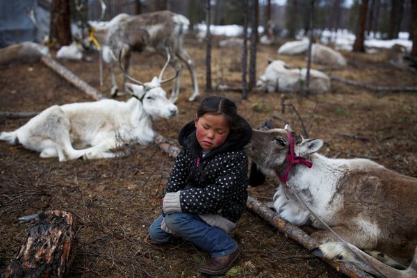 モンゴルの女の子（６）が鹿のあいだに座る - Sputnik 日本
