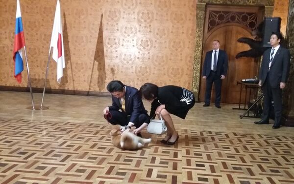ザギトワに秋田犬のマサルが贈呈 - Sputnik 日本