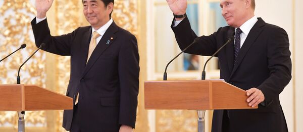 プーチン大統領 安倍首相との会談を評価 プーチン大統領 安倍首相との会談を評価 - Sputnik 日本
