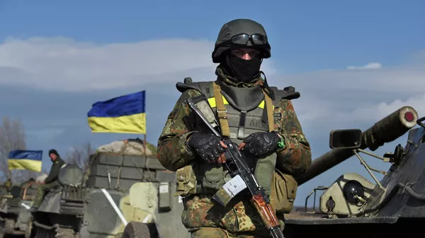 A Ukrainian serviceman stands guard as armored vehicles with canons in tow and with Ukrainian flags atop, stand on a road in the village of Fedorivka, eastern Ukraine, Friday, Feb. 27, 2015 - Sputnik 日本