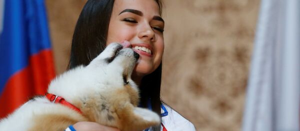 秋田犬マサル ザギトワ亭の第1日目は5回の散歩 秋田犬マサル ザギトワ亭の第1日目は5回の散歩 - Sputnik 日本
