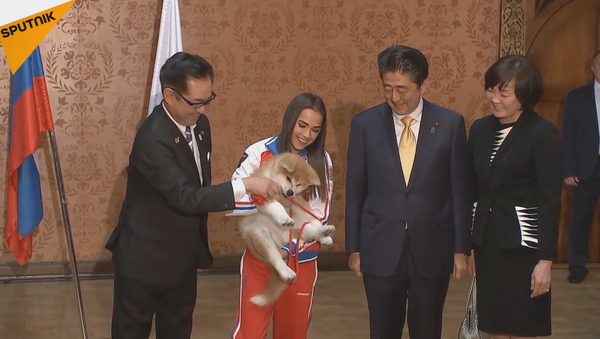 五輪王者のザギトワ、自分の子犬と遂に対面！ - Sputnik 日本