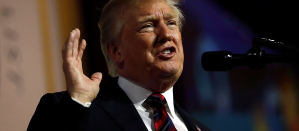 トランプ氏、関税導入について語る - Sputnik 日本