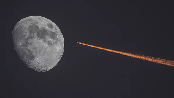 日本人億万長者の前澤友作氏、スペースＸによる月への初の観光客に