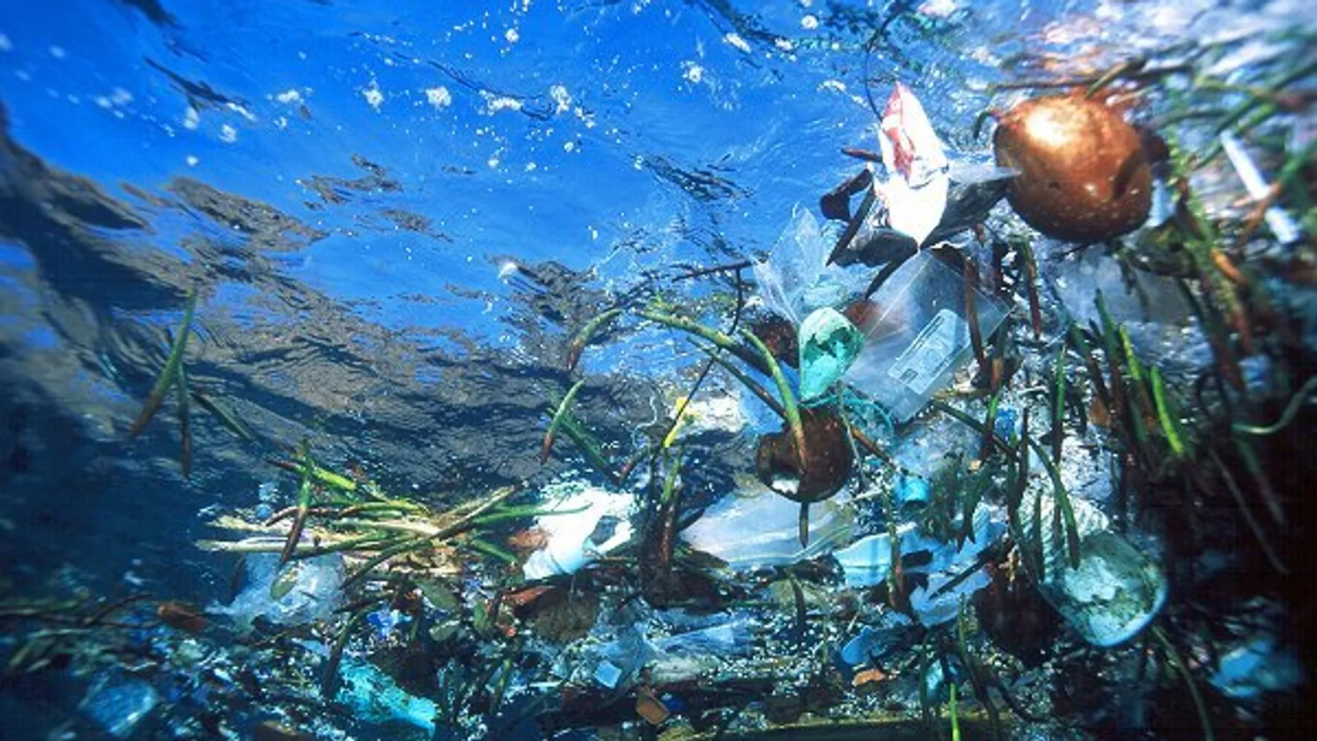 水中のプラスチック