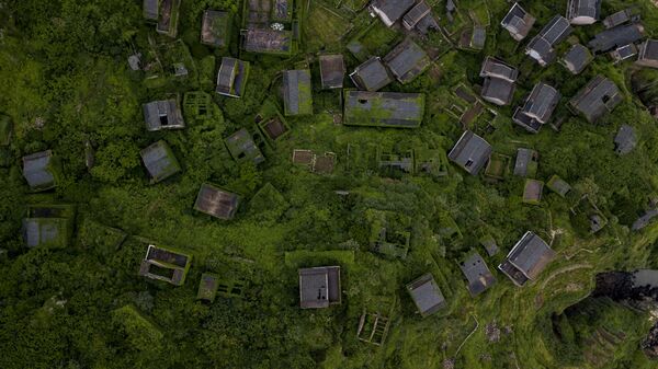 中国東部の放棄された後頭湾村にある、緑が生い茂った家並み - Sputnik 日本