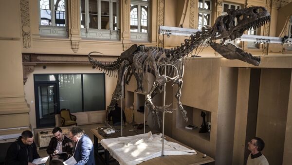 Скелет аллозавра, выставленного на торги в аукционном доме - Sputnik 日本