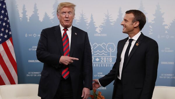 El presidente de EEUU, Donald Trump, junto a su homólogo francés, Emmanuel Macron - Sputnik 日本