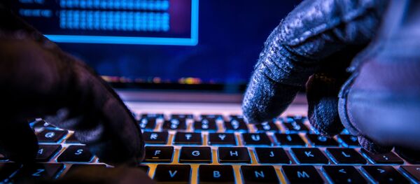 Hacker - Sputnik 日本