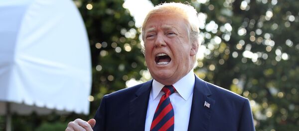 トランプ氏 トランプ氏 - Sputnik 日本
