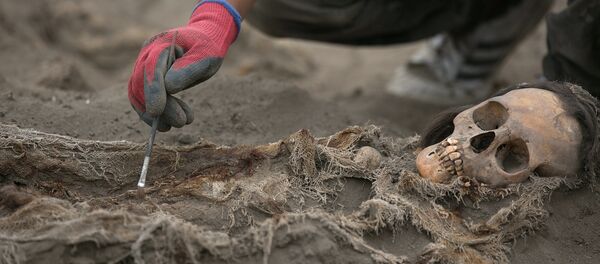 子供を大量に生贄にした痕跡、ペルーで発見 子供を大量に生贄にした痕跡、ペルーで発見 - Sputnik 日本