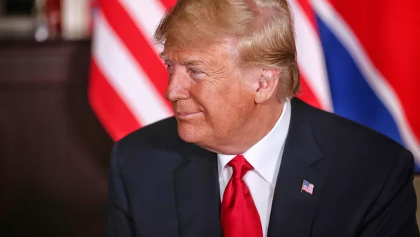 露米首脳会談、米大統領選介入疑惑も焦点に＝トランプ氏 - Sputnik 日本