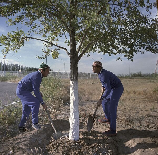 初の宇宙飛行士となったガガーリンが植えた木の手入れをするソ連のヴィクトル・ヴァシリエヴィチ・ゴルバトコ宇宙飛行士とウラジスラフ・ニコラエビッチ・ボルコフ宇宙飛行士【資料写真】  - Sputnik 日本