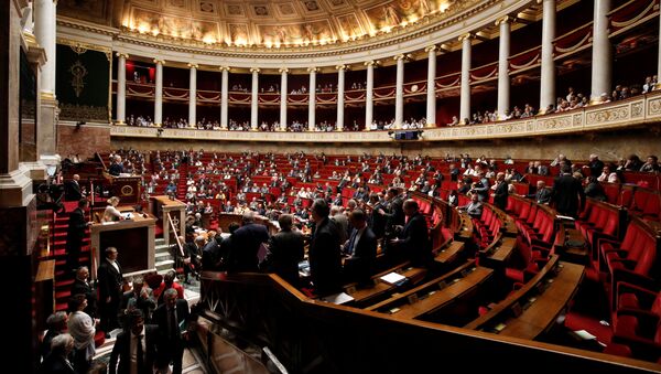 Заседание Национального собрания Франции в Париже - Sputnik 日本