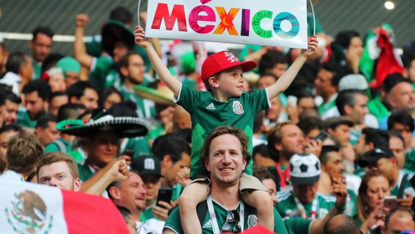 サッカーW杯２０１８　メキシコ代表が韓国代表に勝利 - Sputnik 日本