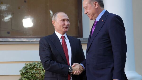 プーチン・エルドアン両首脳　シリア問題で共同歩調を確認 - Sputnik 日本
