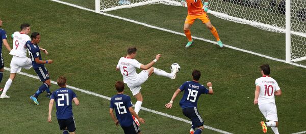W杯日本代表　対ポーランド戦のつまらない試合に謝罪 - Sputnik 日本