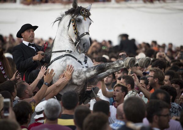 バレアレス諸島での祭りで、群衆の中で乗り手を乗せる馬 - Sputnik 日本