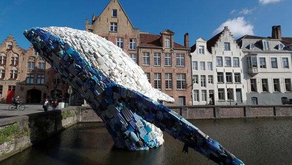 ５トンもの海のゴミから出来たクジラの彫像、ベルギーに設置 - Sputnik 日本