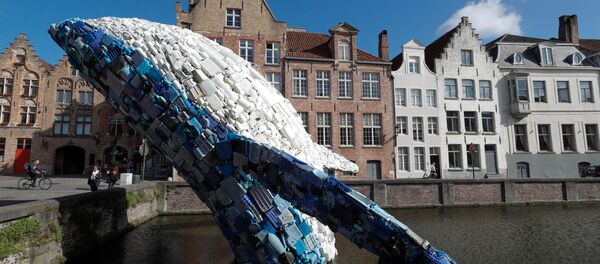 ５トンもの海のゴミから出来たクジラの彫像、ベルギーに設置 - Sputnik 日本