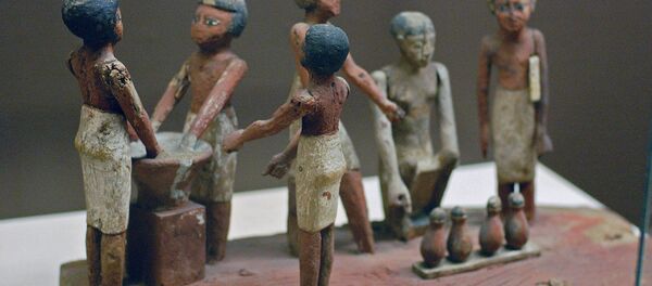 最古のビール醸造所がエジプトで見つかる 最古のビール醸造所がエジプトで見つかる - Sputnik 日本