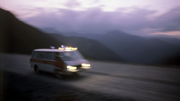 日本人がキルギスの山中で負傷　救助ヘリ事故で - Sputnik 日本