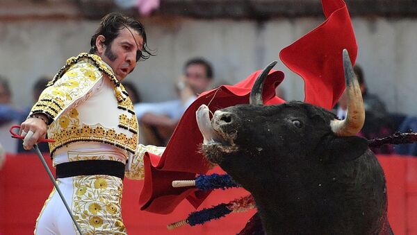 スペイン　猛る雄牛が闘牛士の頭皮を引きちぎる - Sputnik 日本