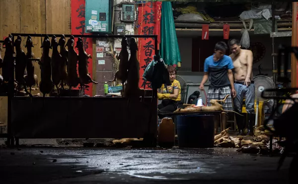 中国の楡林市で夏至の日、犬肉際が行われる 中国の楡林市で夏至の日、犬肉際が行われる - Sputnik 日本